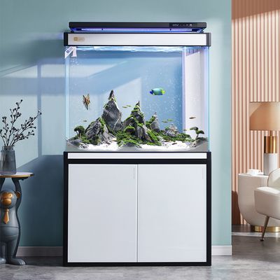 龍魚缸哪個品牌最好最先進，龍魚缸品牌性價比排行,龍魚缸尺寸選擇指南