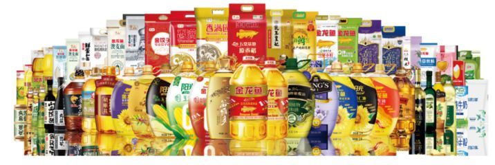 金龍魚(yú)發(fā)展史簡(jiǎn)介：金龍魚(yú)品牌廣告創(chuàng)意解析