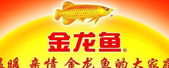 金龍魚(yú)發(fā)展史簡(jiǎn)介：金龍魚(yú)品牌廣告創(chuàng)意解析