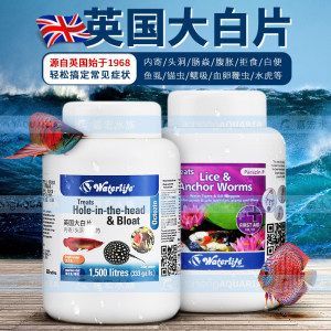 龍魚吃了大白片會怎么樣嗎：龍魚吃了大白片會怎么樣？