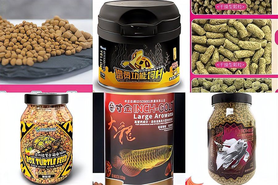 有哪些品牌的高蛋白活餌適合金龍魚？