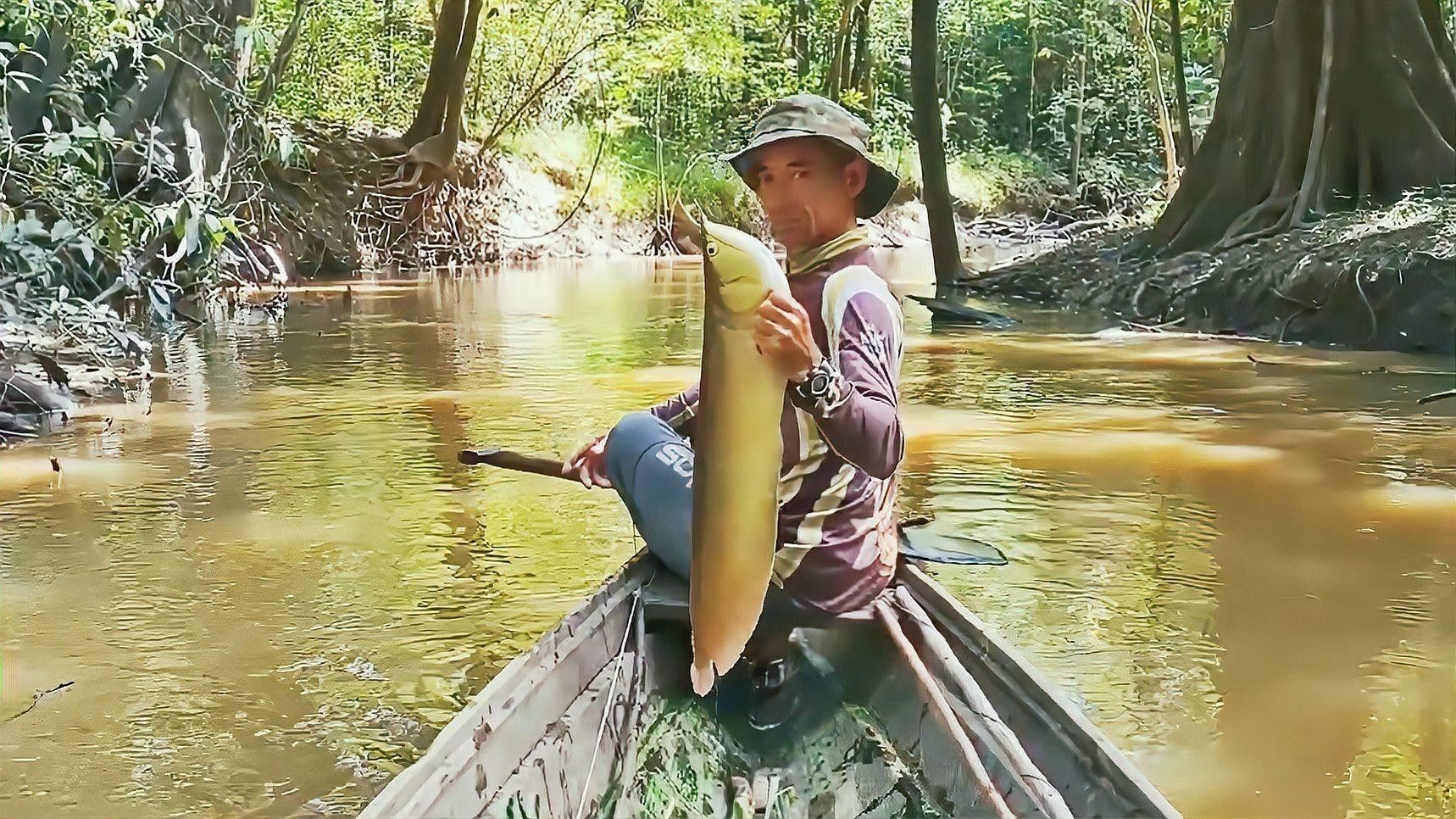 高背銀龍的市場需求如何？ 高背銀龍的市場需求如何？ 龍魚百科 第1張