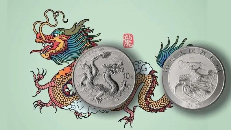 高背銀龍的市場需求如何？ 高背銀龍的市場需求如何？ 龍魚百科 第8張