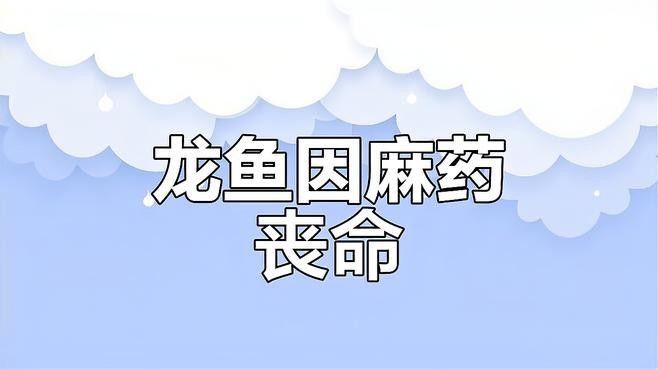 龍魚麻藥過(guò)量怎么辦？