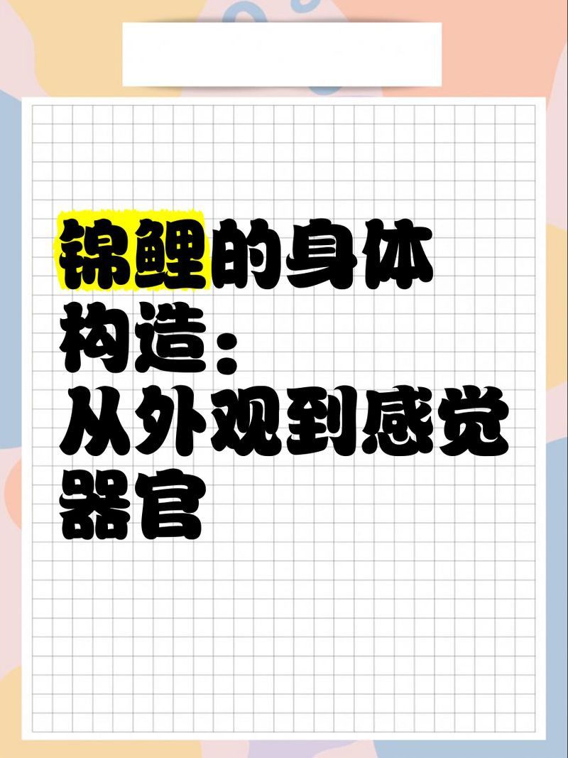 鯉魚有牙齒嗎會(huì)咬人嗎