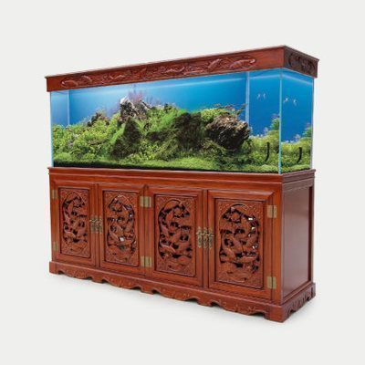 龍魚(yú)魚(yú)缸ph值多少算正常范圍內(nèi)：如何快速檢測(cè)龍魚(yú)適宜的水質(zhì)硬度范圍,龍魚(yú)缸換水的最佳時(shí)機(jī)