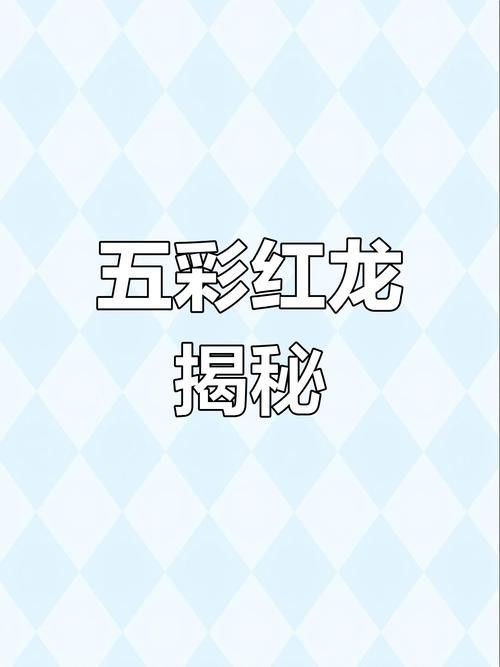 龍魚有小型的嗎圖片