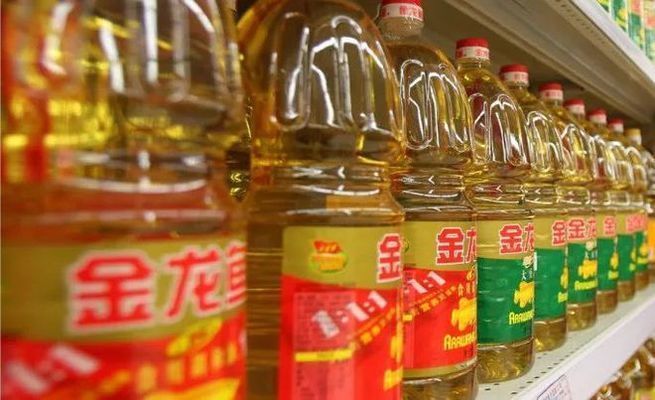 金龍魚用黑底還是白底好呢，選擇金龍魚用黑底還是白底好