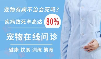 巴卡雷龍魚繁殖環境布置技巧：巴卡雷龍魚的繁殖環境布置是確保它們成功繁衍的關鍵