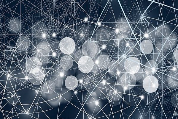 龍魚虎魚鳳魚龜：龍魚、虎魚、鳳魚，三靈共聚的吉祥寓意與文化傳承 龍魚虎魚鳳魚龜：龍魚、虎魚、鳳魚，三靈共聚的吉祥寓意與文化傳承 龍魚百科 第3張