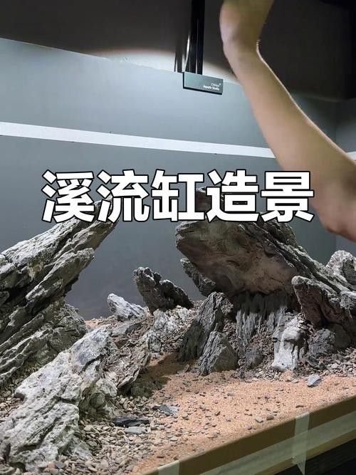 龍魚缸造景圖片大全 生態(tài)板
