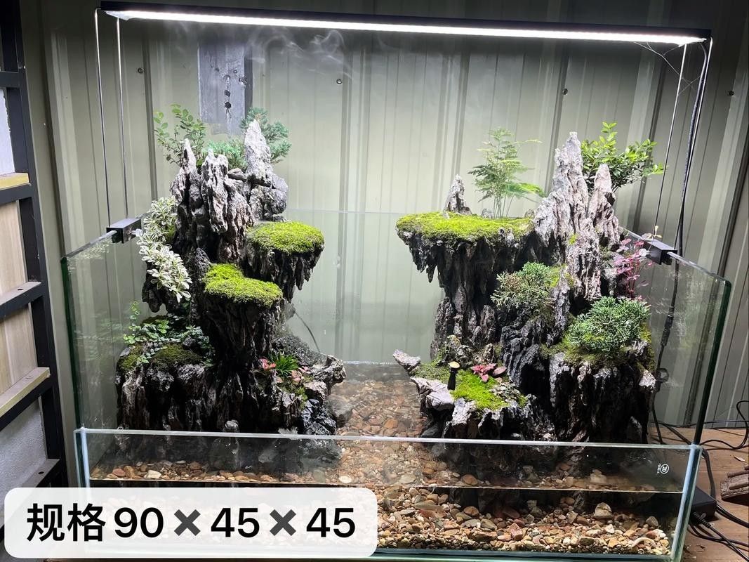 龍魚缸造景圖片大全 生態(tài)板