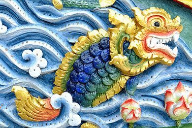 龍魚檔災：龍魚擋災是否能替主人擋災？
