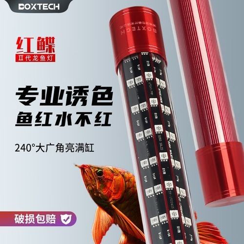 龍魚燈用什么顏色的燈泡好看