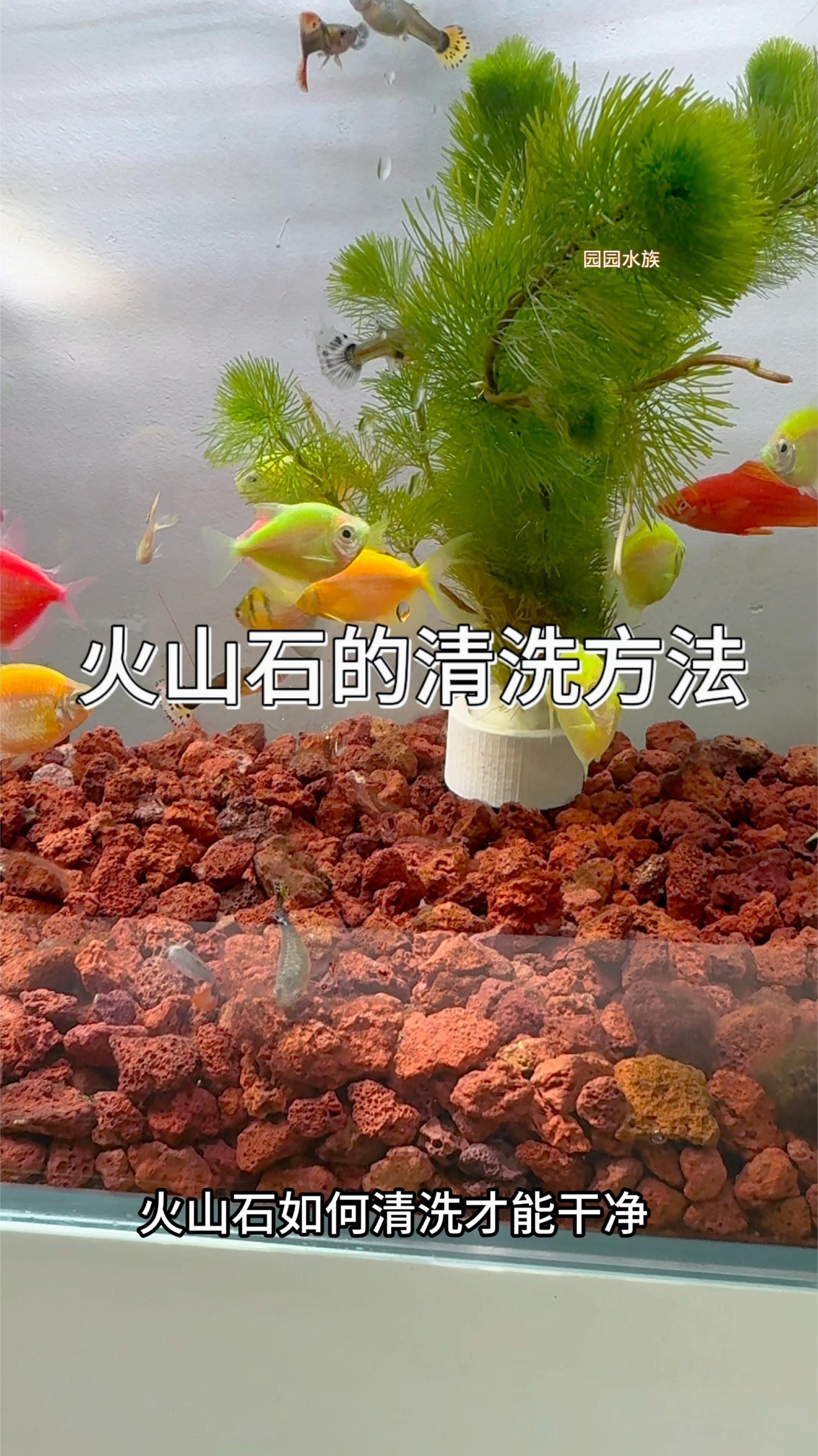 火山石如何預(yù)處理？