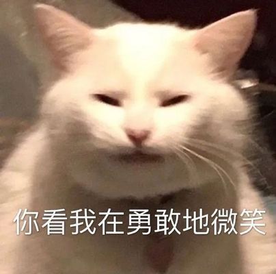 龍魚(yú)怎么買(mǎi)保險(xiǎn)的呢：支付寶寵物保險(xiǎn)購(gòu)買(mǎi)指南,龍魚(yú)保險(xiǎn)理賠流程詳解