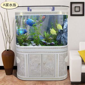 龍魚在魚缸底部不動為什么會死：龍魚在魚缸底部不動可能會因為多種原因導致死亡 龍魚在魚缸底部不動為什么會死：龍魚在魚缸底部不動可能會因為多種原因導致死亡 龍魚百科 第4張