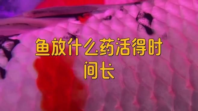哪些藥物對(duì)魚(yú)無(wú)害