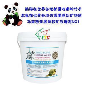 龍魚和羅漢混養成功案例：如何預防龍魚羅漢爭斗，龍魚羅漢混養成功秘訣