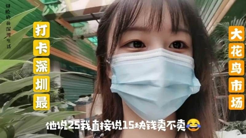 金龍魚苗一條多少錢 金龍魚苗一條多少錢 龍魚百科 第8張
