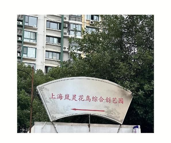 上海買龍魚的地方有哪些店