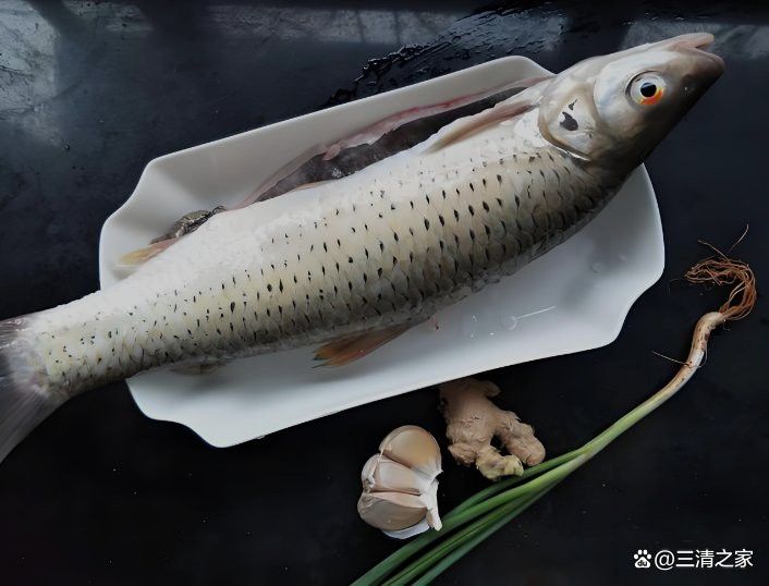 紅金龍魚的市場價格有波動嗎？