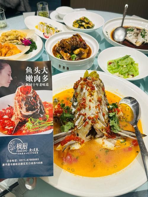 信陽龍魚專賣店