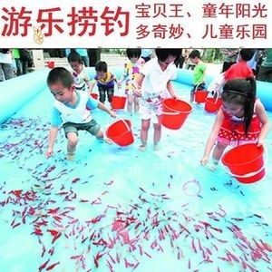 紅龍魚如何挑選好的魚苗視頻：紅龍魚的挑選技巧
