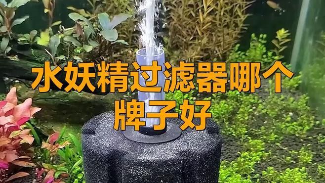 電動水妖精有哪些品牌推薦？ 電動水妖精有哪些品牌推薦？ 龍魚百科 第4張
