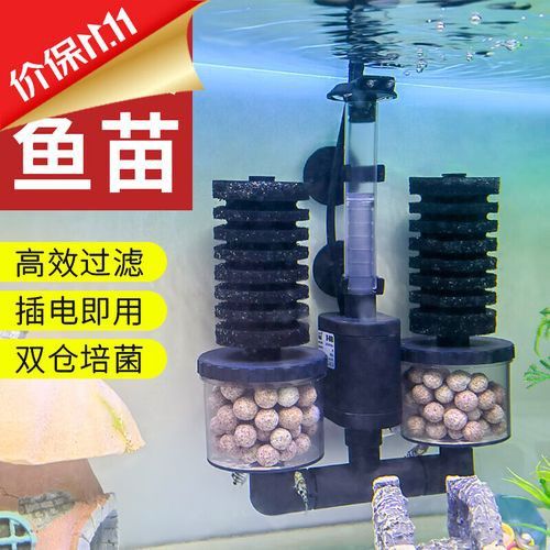 電動水妖精有哪些品牌推薦？ 電動水妖精有哪些品牌推薦？ 龍魚百科 第2張