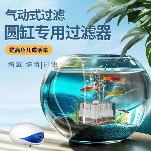 電動水妖精有哪些品牌推薦？ 電動水妖精有哪些品牌推薦？ 龍魚百科 第3張