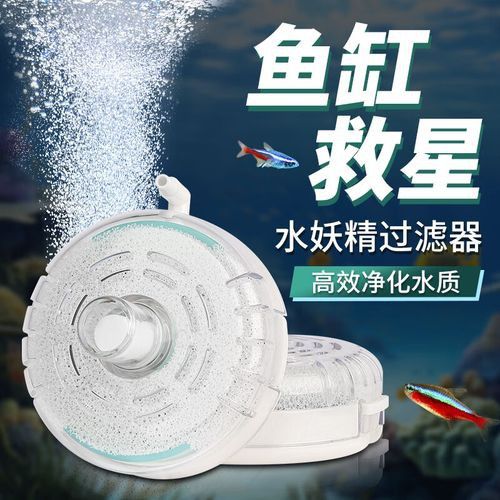 電動水妖精有哪些品牌推薦？ 電動水妖精有哪些品牌推薦？ 龍魚百科 第9張