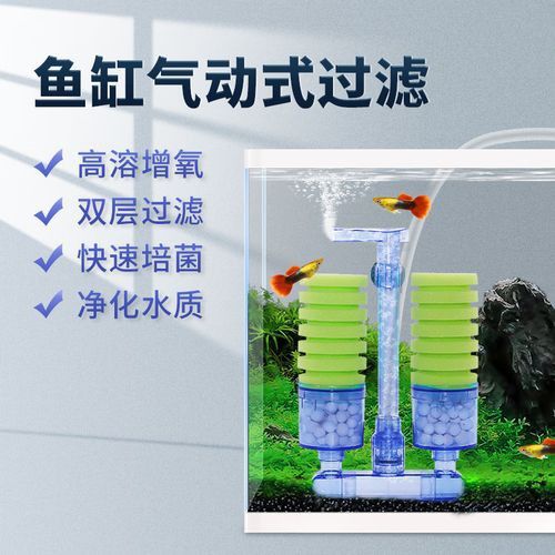 電動水妖精有哪些品牌推薦？ 電動水妖精有哪些品牌推薦？ 龍魚百科 第10張