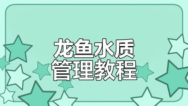 龍魚缸養水的正確方法