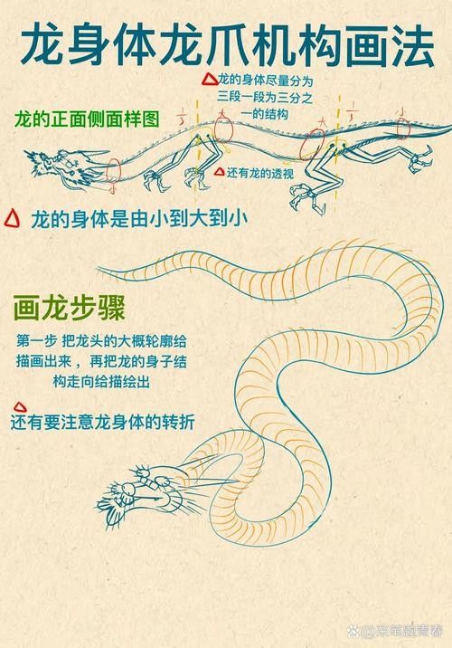 龍魚品相鑒別圖解