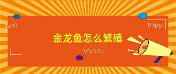 母金龍魚多大性成熟（母金龍魚的性成熟年齡）