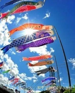 魚躍龍門的故事在日本如何流傳？ 魚躍龍門的故事在日本如何流傳？ 龍魚百科 第1張