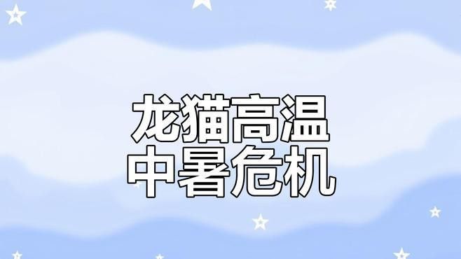 如何確保龍貓和貓的隔離效果？