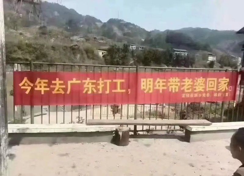 寶龍魚缸哪里生產的質量好
