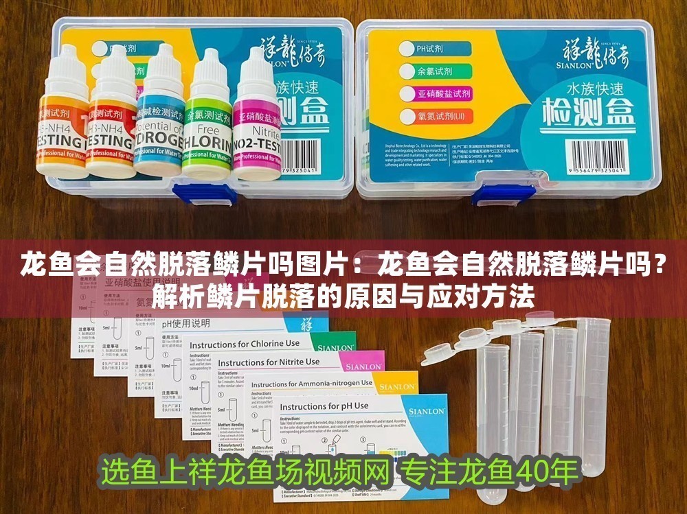 龍魚會自然脫落鱗片嗎圖片：龍魚會自然脫落鱗片嗎？解析鱗片脫落的原因與應對方法 龍魚會自然脫落鱗片嗎圖片：龍魚會自然脫落鱗片嗎？解析鱗片脫落的原因與應對方法 龍魚百科 第1張