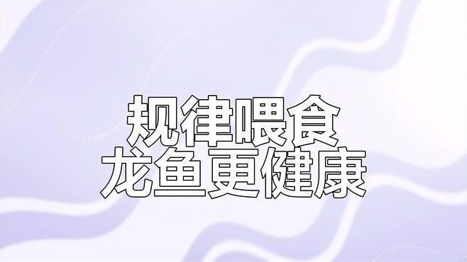 龍魚飼料什么牌子好