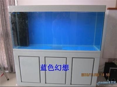 龍魚(yú)缸可以改海水缸嗎：如何將龍魚(yú)缸改造成海水缸