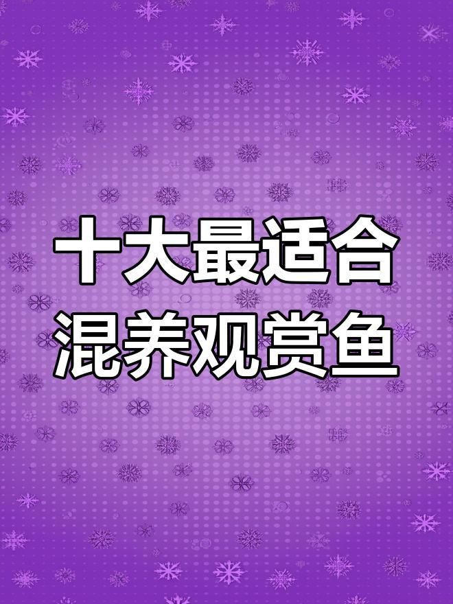 七條魚的最佳混養(yǎng)搭配建議