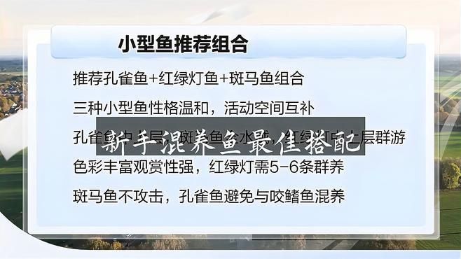 七條魚的最佳混養(yǎng)搭配建議