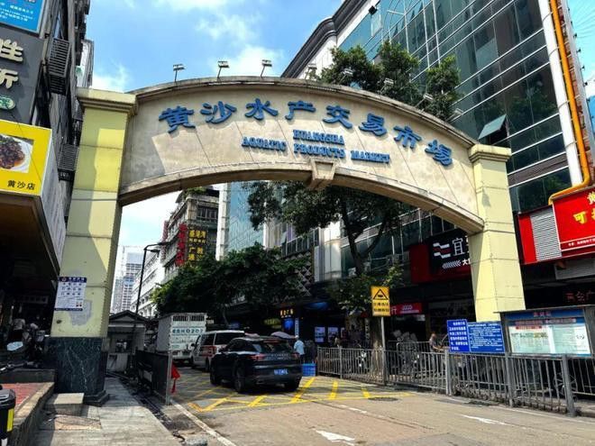 廣州市龍魚(yú)三大商家是誰(shuí)啊最近