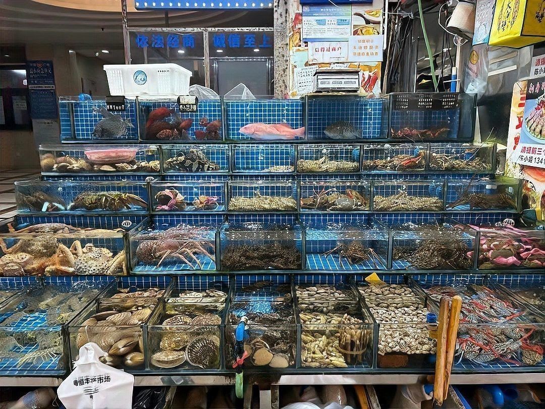 廣州市龍魚(yú)三大商家是誰(shuí)啊最近