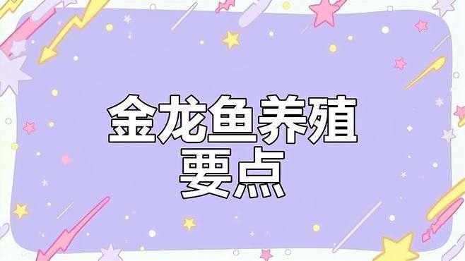 如何檢測(cè)水質(zhì)是否適合金龍魚？