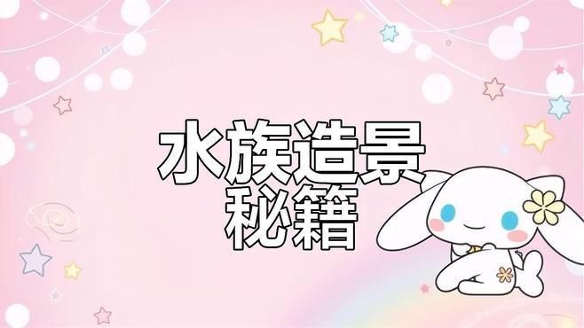 60寬魚缸適合混養哪些魚類？