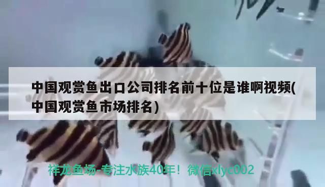 黃水魚缸拿什么燈最好養(yǎng)活（什么魚飼料不黃水）