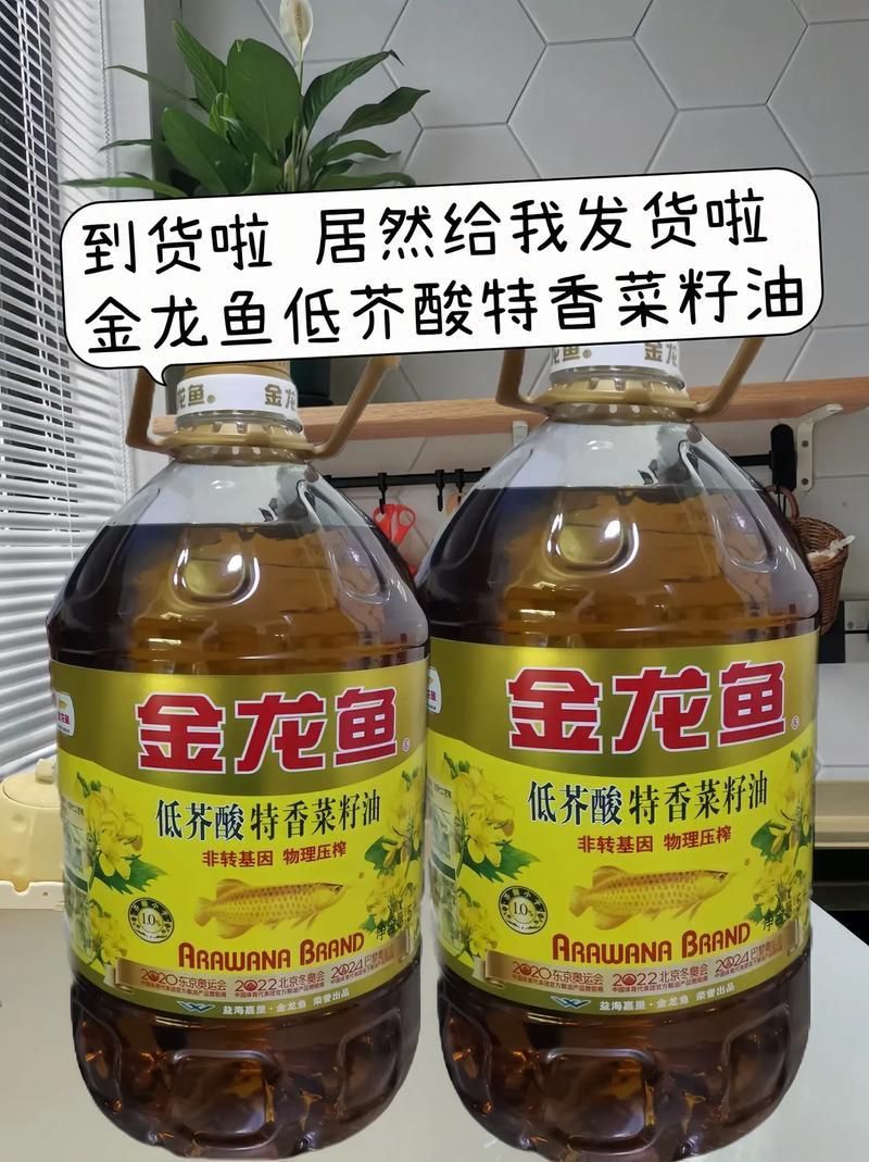 金龍魚產品圖片大全